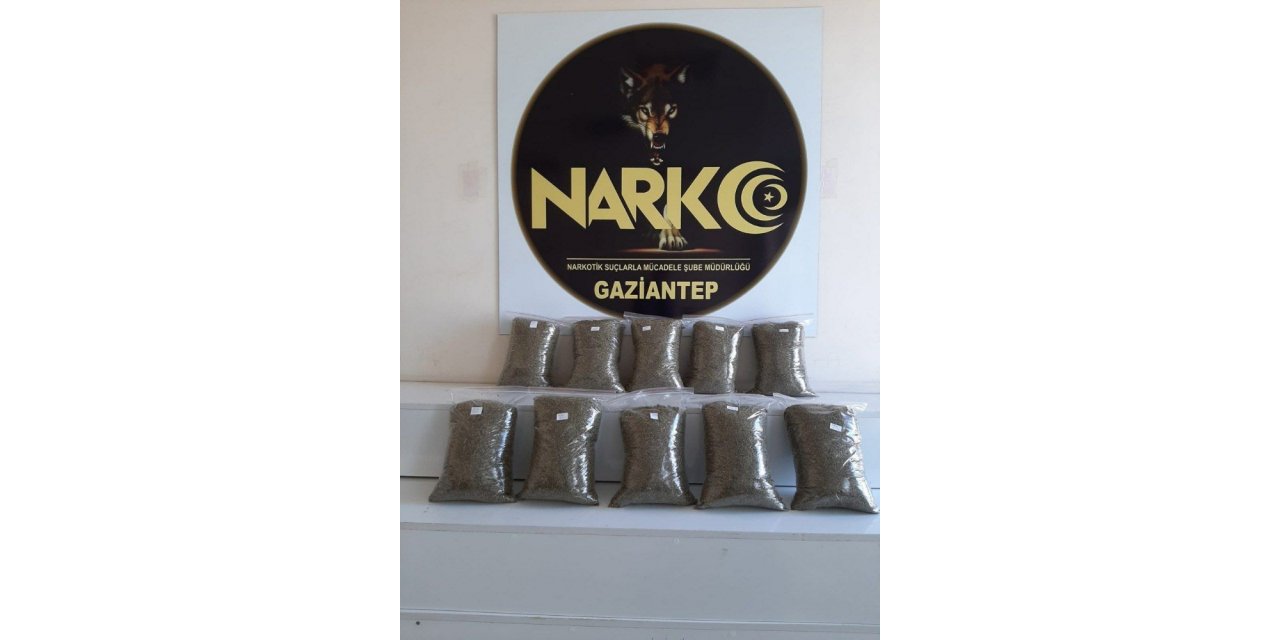 Gaziantep’te 10 kilo bonzai yakalandı