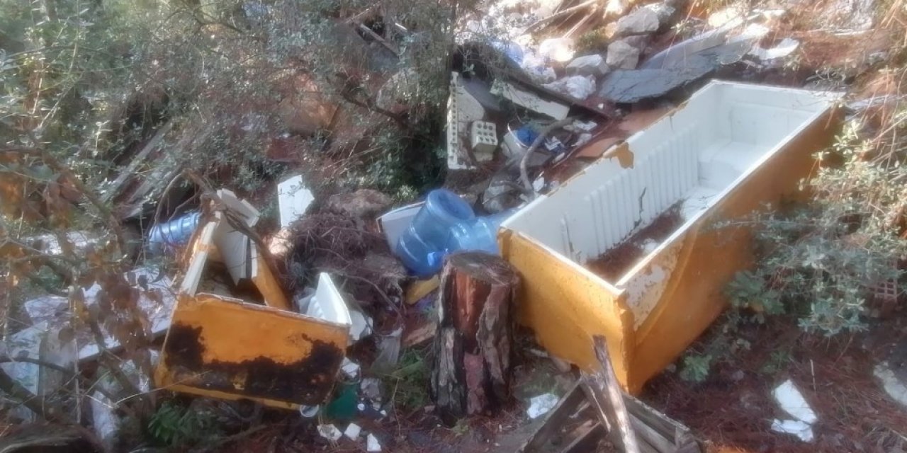 Bursa’da bir çevre katliamı daha