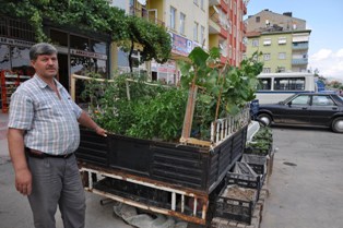Aracının kasasını sebze bahçesine dönüştürdü