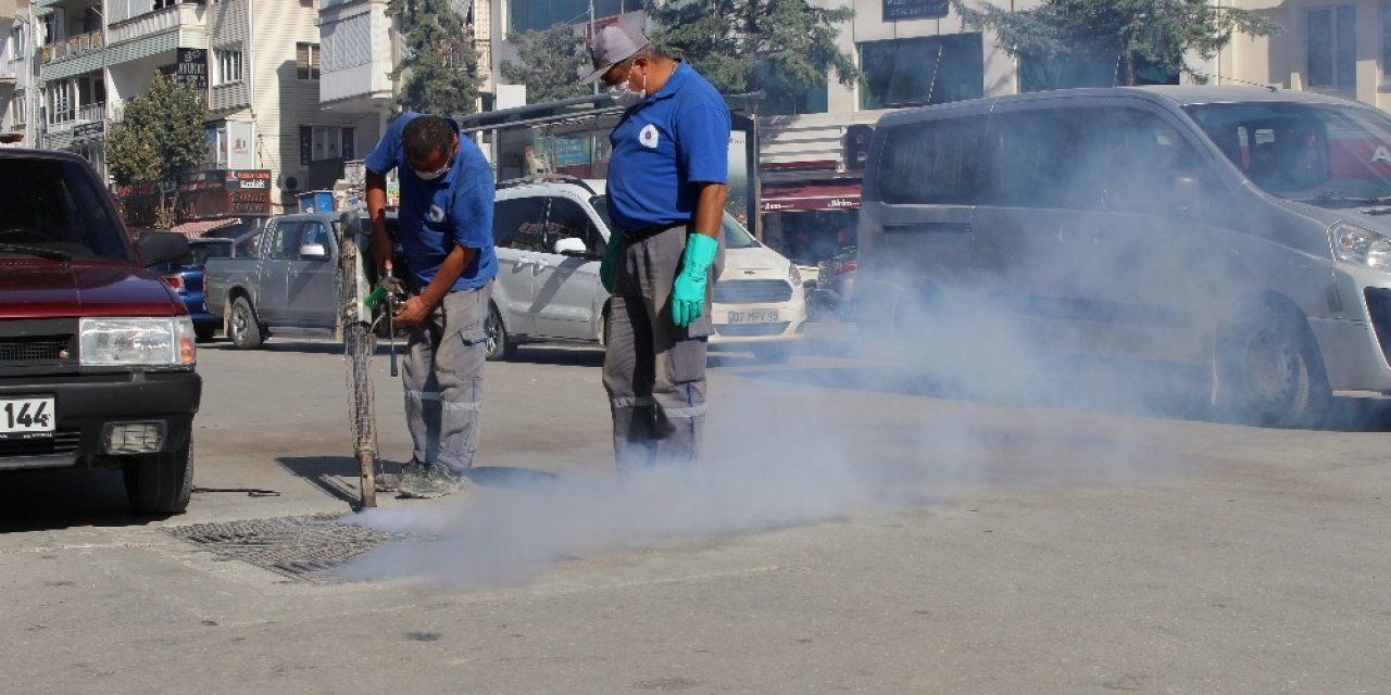 Sinekle mücadele hız kesmiyor