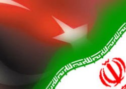Türkiye'den İran'a 5 bin tavuk