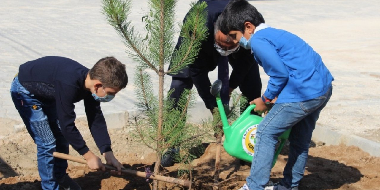 İlk günün anısına yüzlerce fidan toprakla buluştu