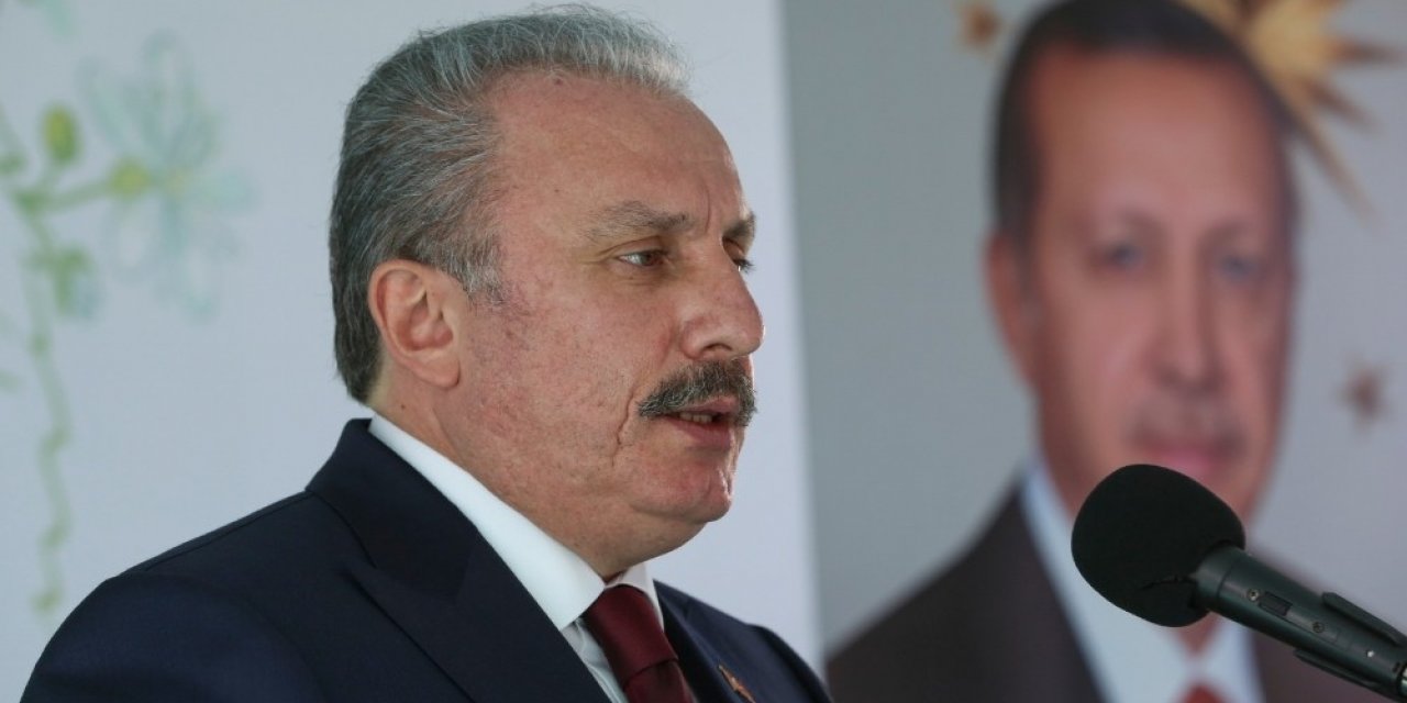 TBMM Başkanı Şentop: “Tabiata zarar vererek kirli emellerine ulaşacaklarını zanneden gafiller şunu iyi bilsinler: Türkiye Cumhuriyeti Devleti büyük ve güçlü bir devlettir”