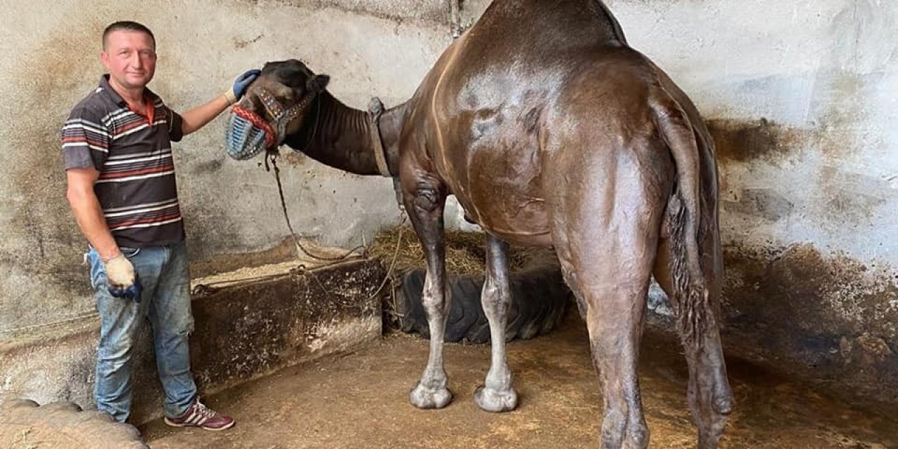 Güreş arenasının Buldanbeyi öldü
