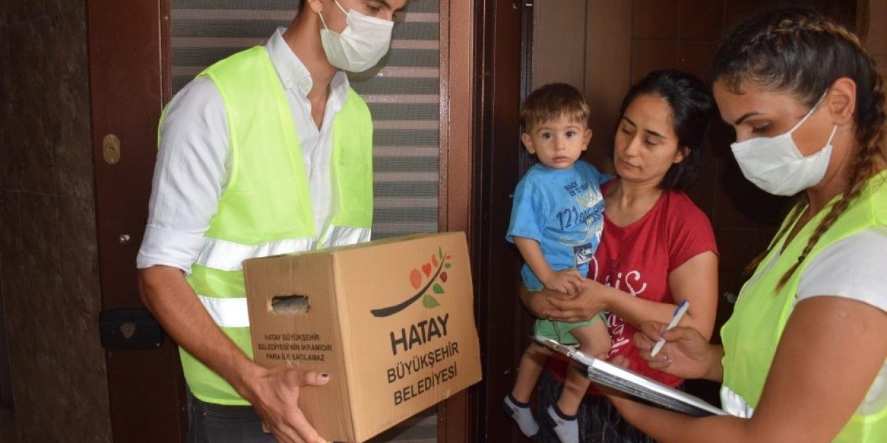 Hatay’da yangının yaraları sarılıyor