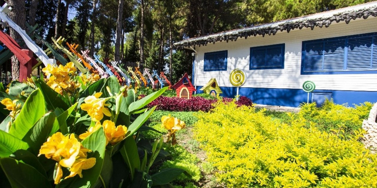 DokumaPark çiçek açtı