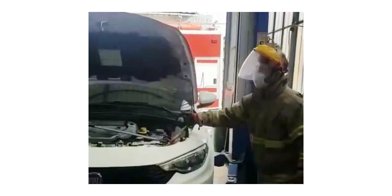 Bursa’da araca giren yılan İzmir’de çıkarıldı