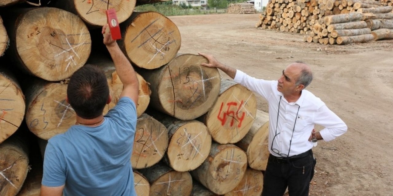 Düzce’de orman emvalinin kalitesi yükseltiliyor