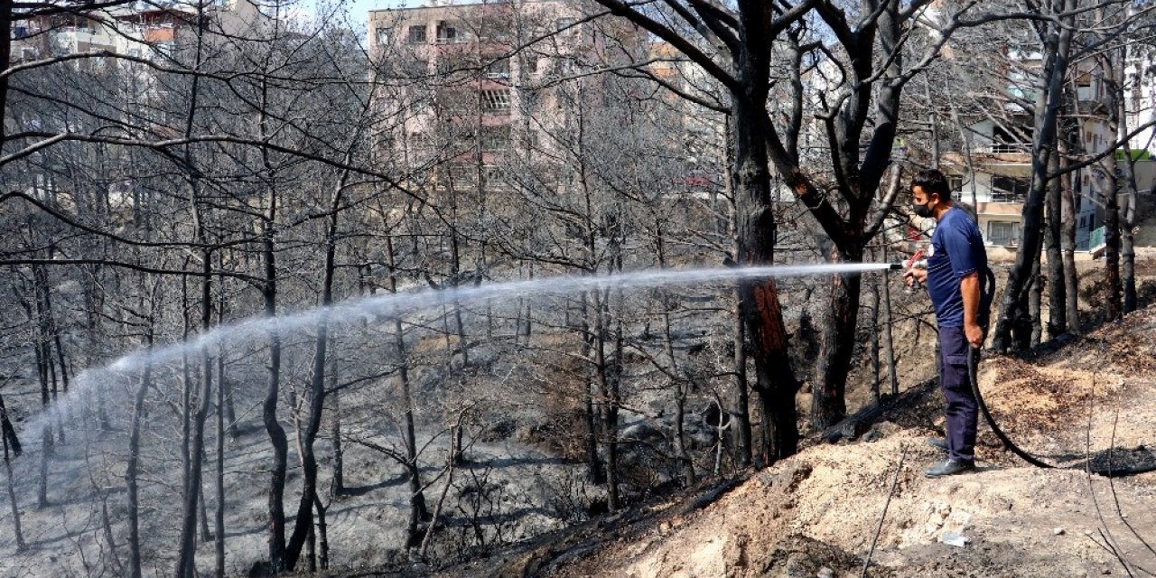 Hatay’da yanan ağaçlar soğutuluyor