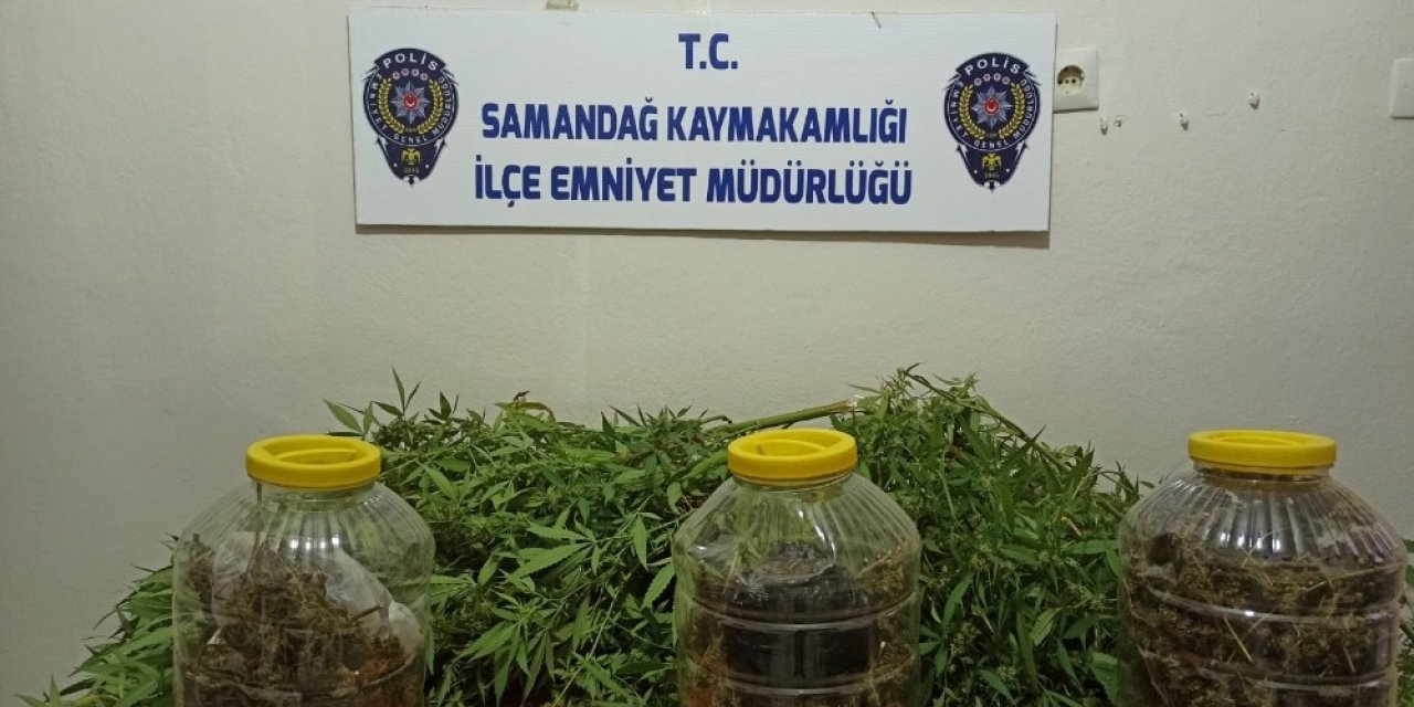 Uyuşturucuyu turşu bidonlarında saklamış