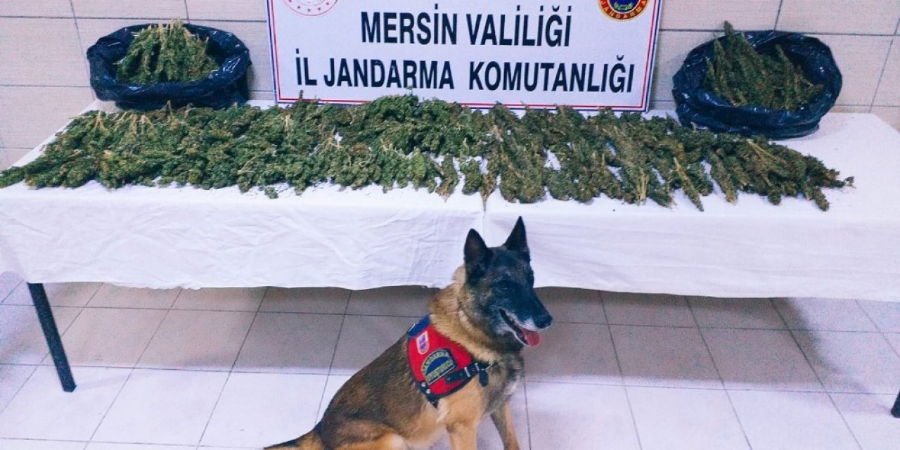 Taksiden 8 kilo 100 gram esrar çıktı