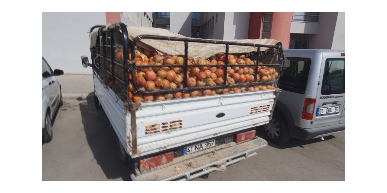 Tarladan karpuz ve nar çalıp satmış