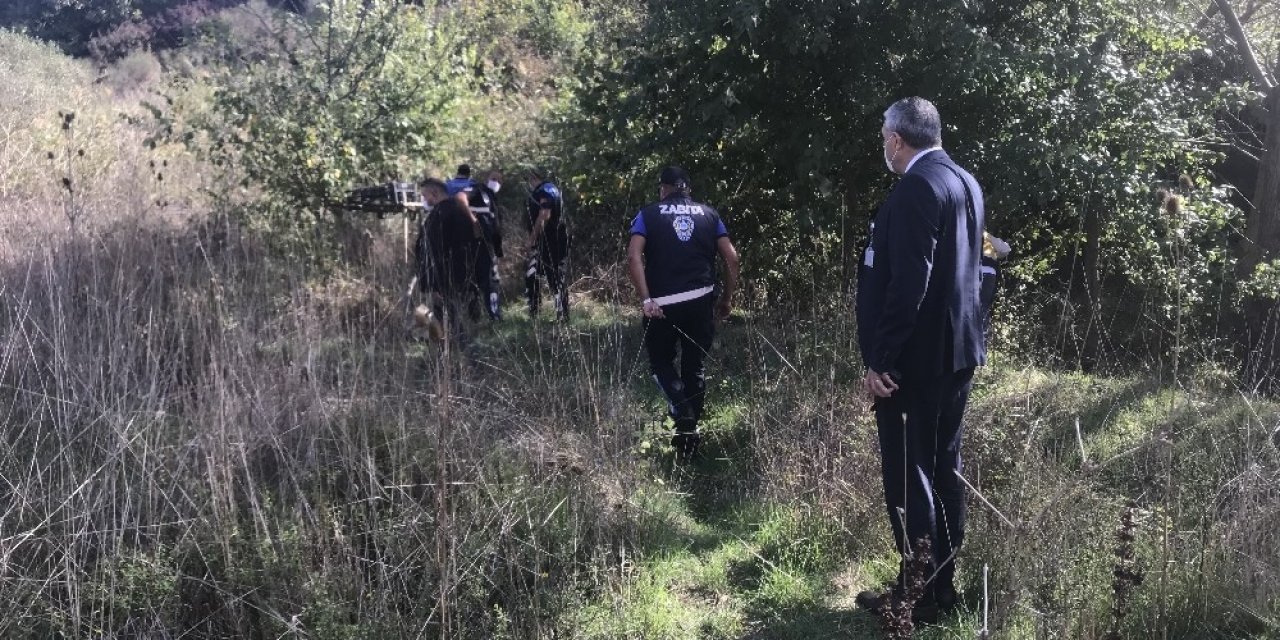 Büyükçekmece’de havadan ve karadan ‘boz ayı’ arama çalışmaları