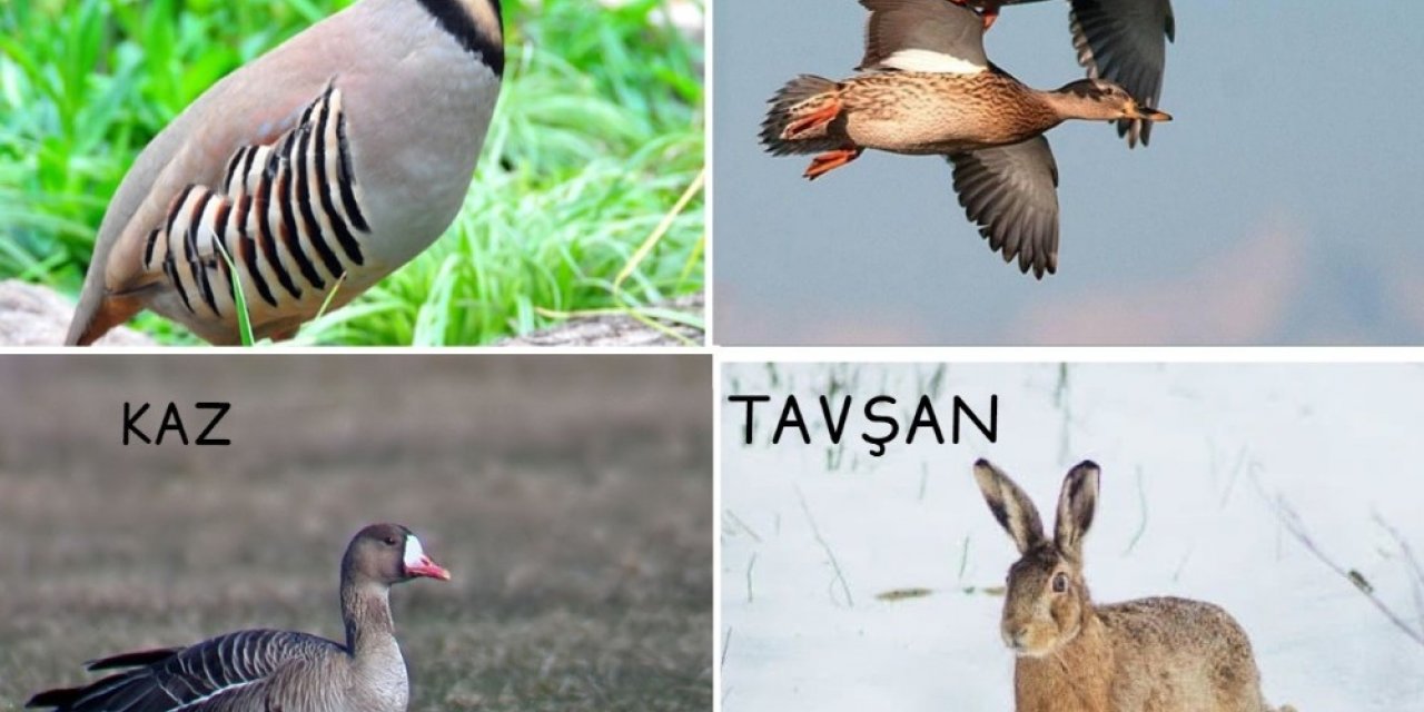 Avcılar yarın için sabırsızlanıyor