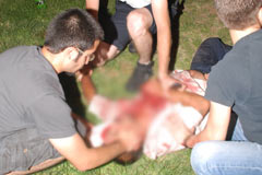 Alkol alıp birbirlerinin kestiler!