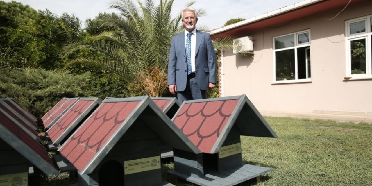 Sahipsiz kedilere sıcak yuva