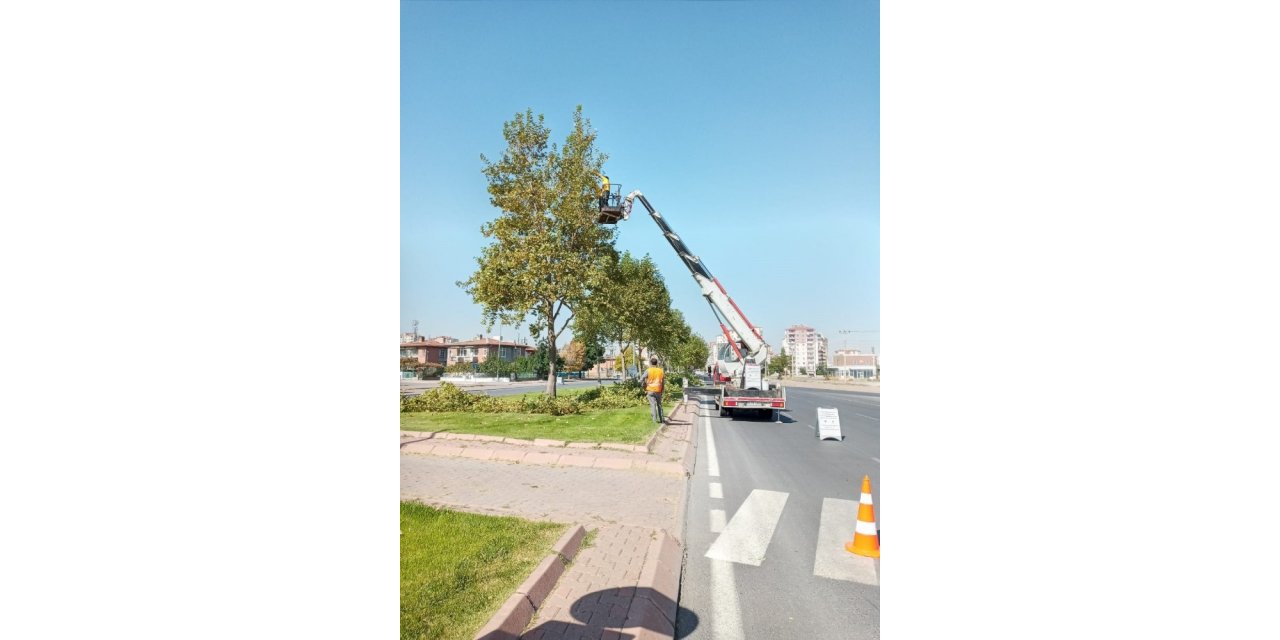 Büyükşehir’den hummalı sonbahar çalışması