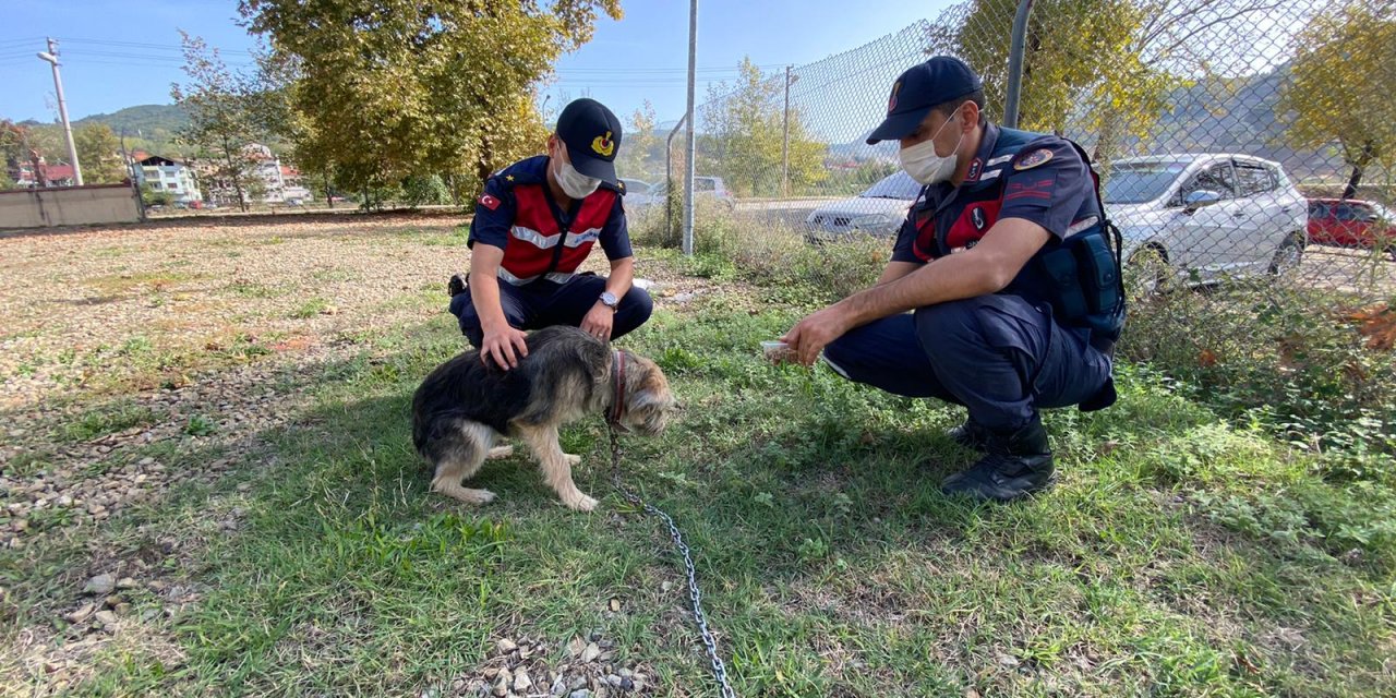 Sopayla darbedilen köpeği jandarma sahiplendi