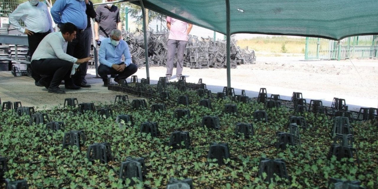 Battalgazi güzelleştiriyor