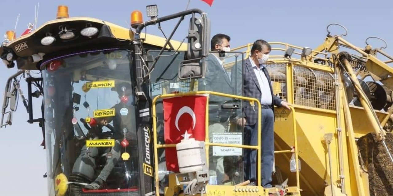 Yeşilhisar’da şeker pancarı hasadı