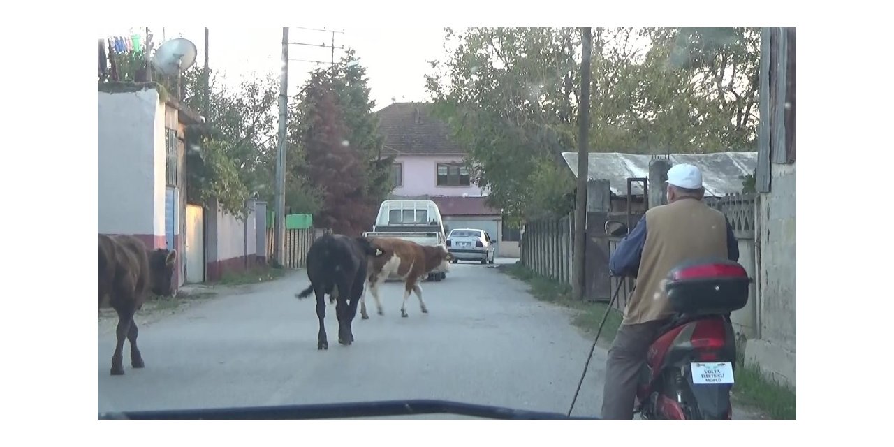 Teknolojiye ayak uydurdu