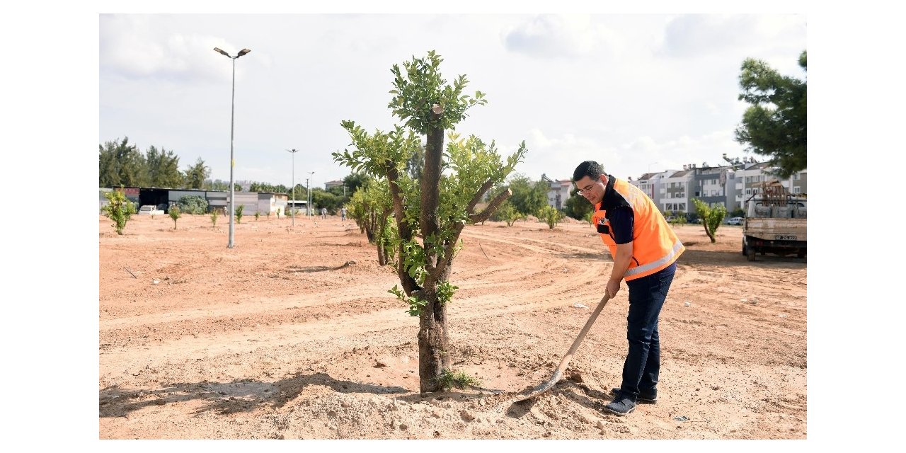 Kepez’e 3 milyon 200 bin metrekare yeşil alan