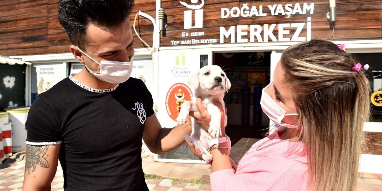 Bir can daha yuvaya kavuştu