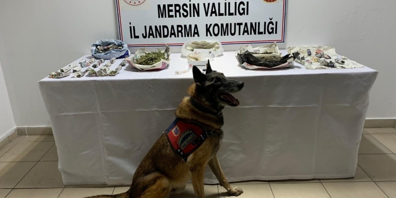 "Çaylak" ve "Dünya" uyuşturucuya geçit vermiyor