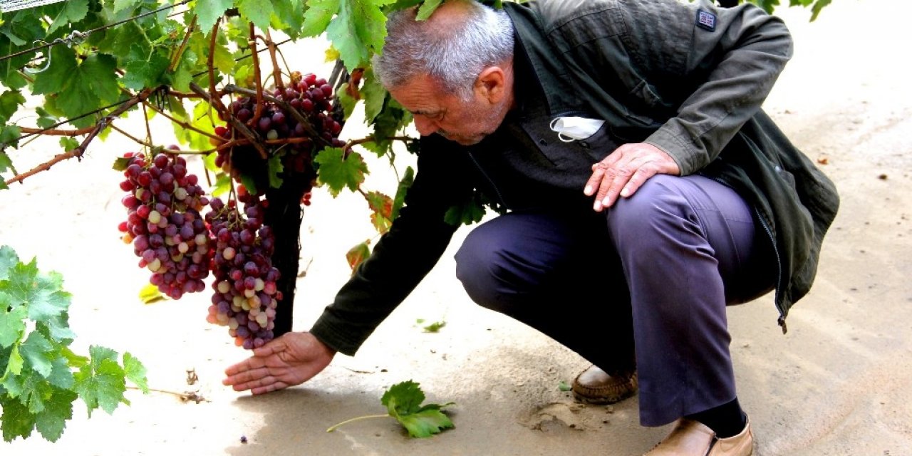 Sarıgöl’de sel zarara yol açtı