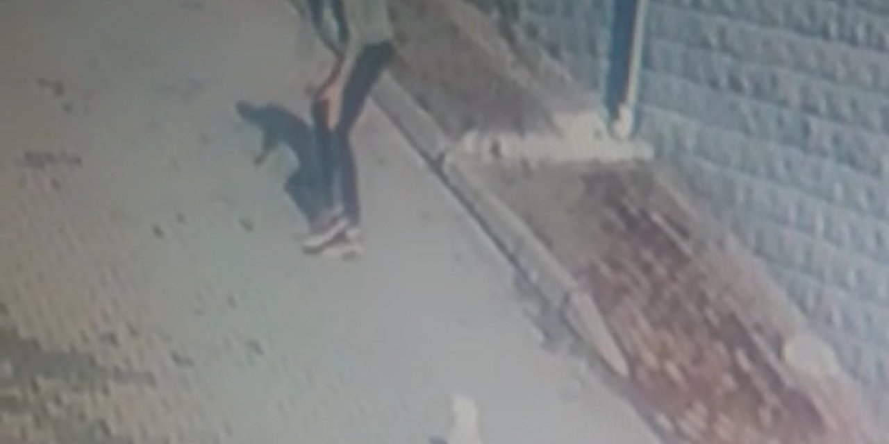 Köpeği önce sevdi, sonra kaçırdı, o ânlar güvenlik kameralarına yansıdı