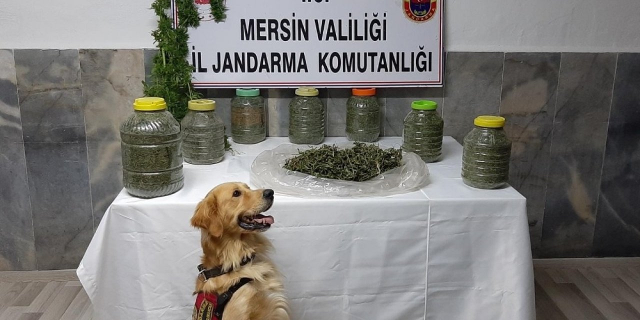 Samanlıkta 11 kilo 130 gram esrar ele geçirildi