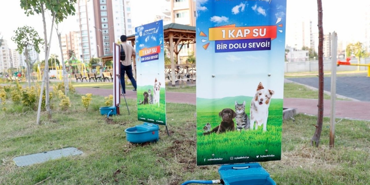 Sokak hayvanlarına yeni suluk