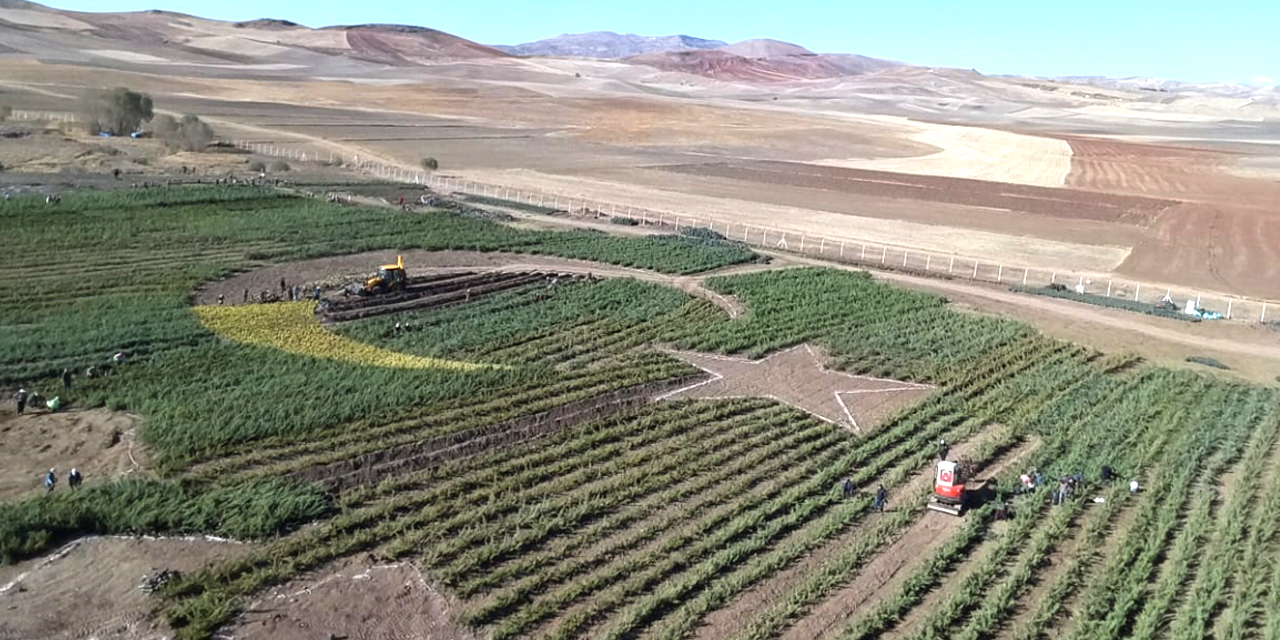 Milli Ağaçlandırma Günü hazırlıkları 81 ilde tamamlandı! Türkiye'deki her birey için 1 ağaç dikilecek