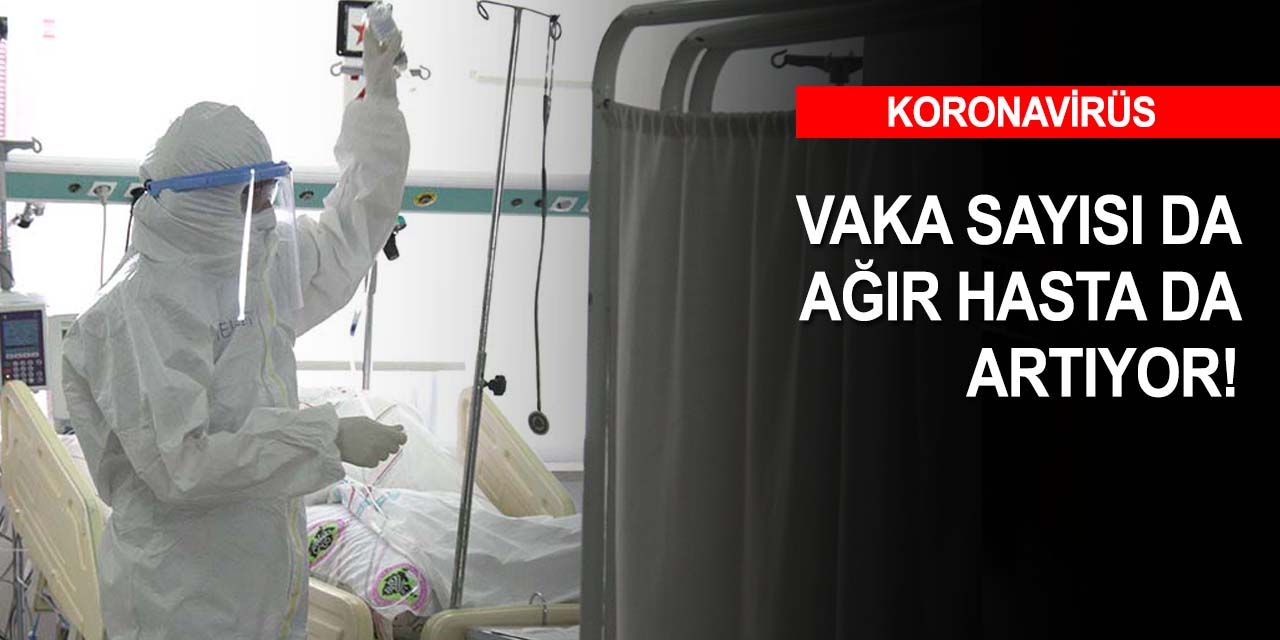 Sağlık Bakanı Koca 7 Kasım tarihli Kovid-19 rakamlarını açıkladı