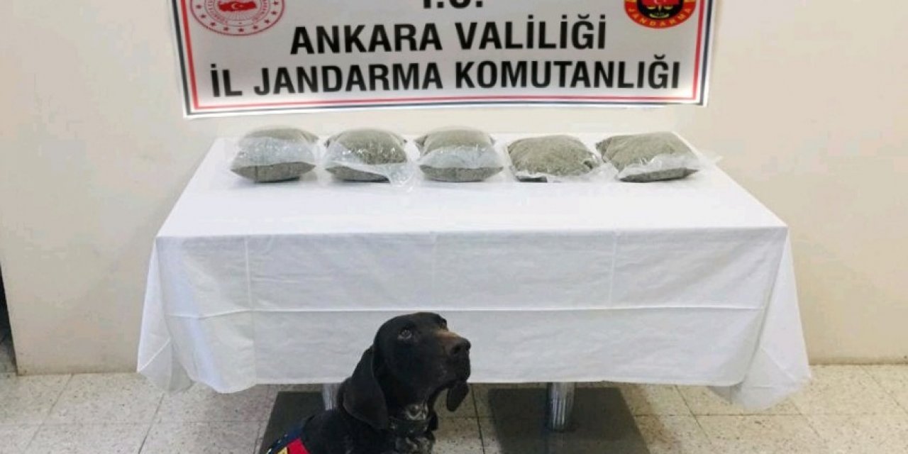 Jandarma adım adım takip etti, uyuşturucu tacirini otobüste yakaladı