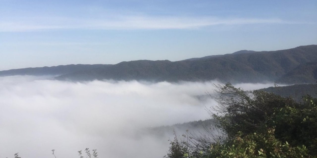 Sis çöken Bolu Dağında kartpostallık görüntüler oluştu