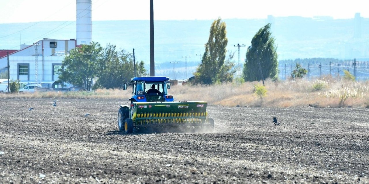 Atatürk Orman Çiftliği’nde yeniden tarım yapılmaya başlandı
