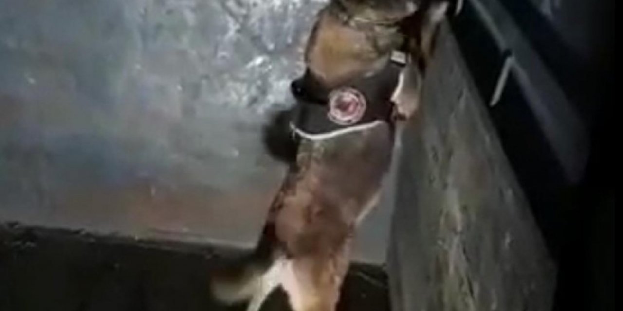 Elazığ’da 41 kilo 750 gram eroin ele geçirildi