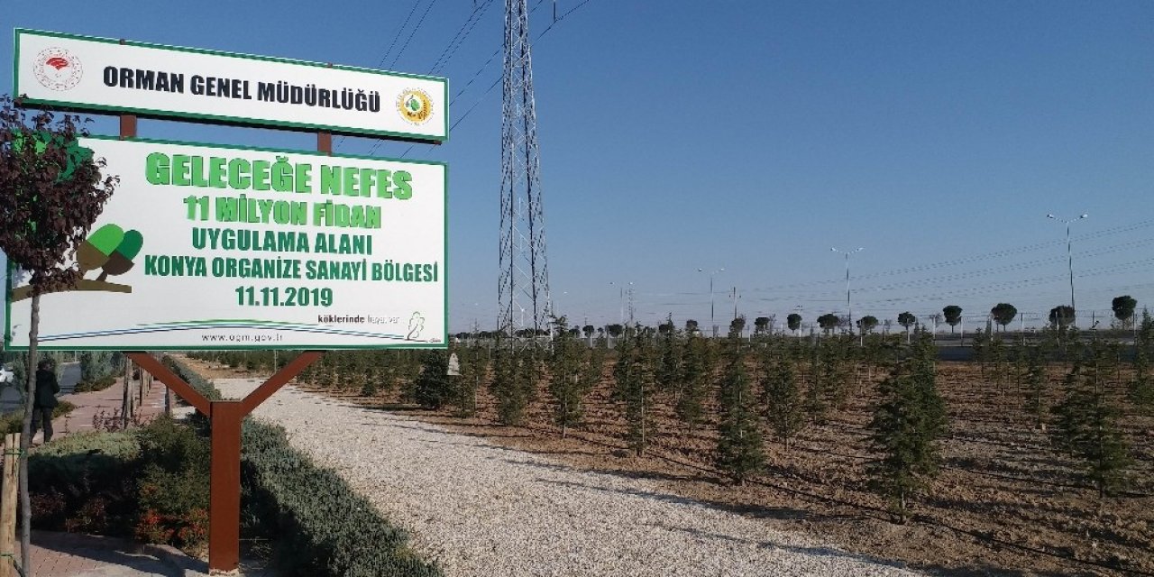 Konya’da dikilen geleceğe nefes olacak fidanlar büyüyor