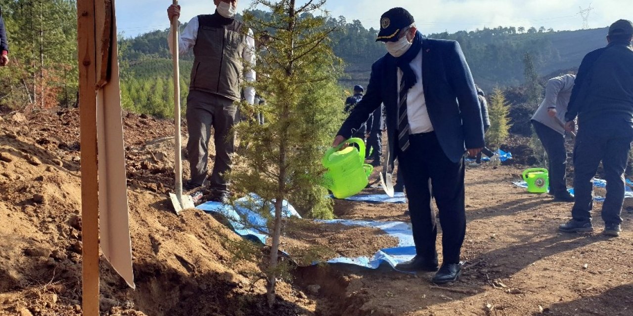 5 bin fidan toprakla buluştu