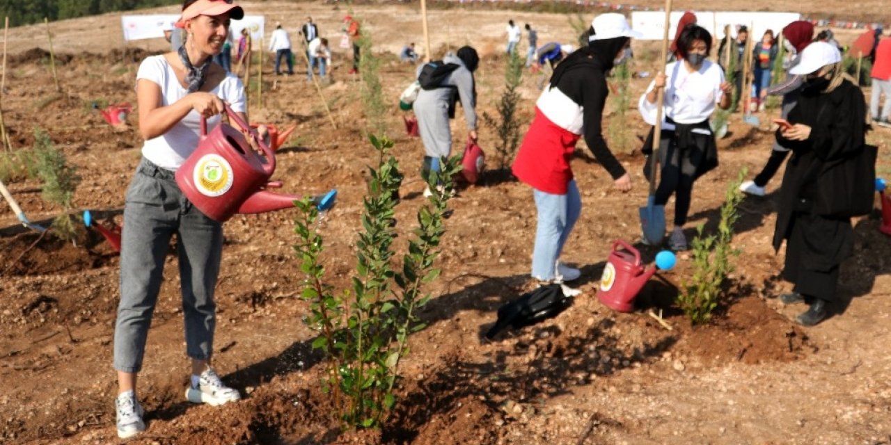 Adana’da 50 bin fidan toprakla buluştu