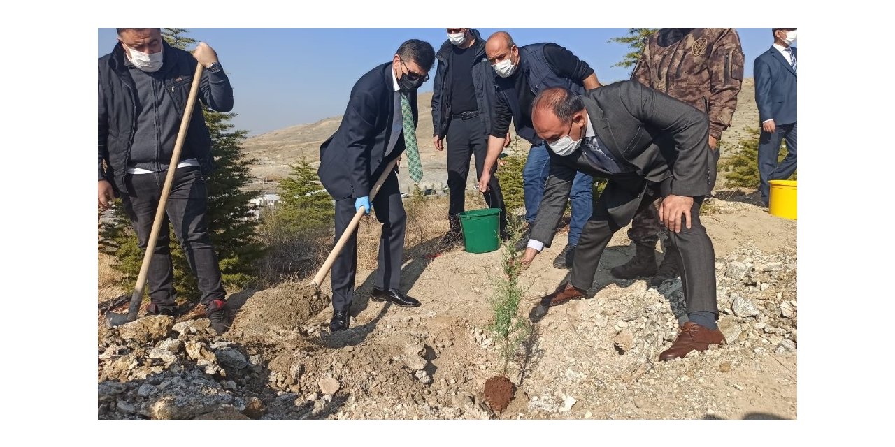 Malatya polisinden bin fidan