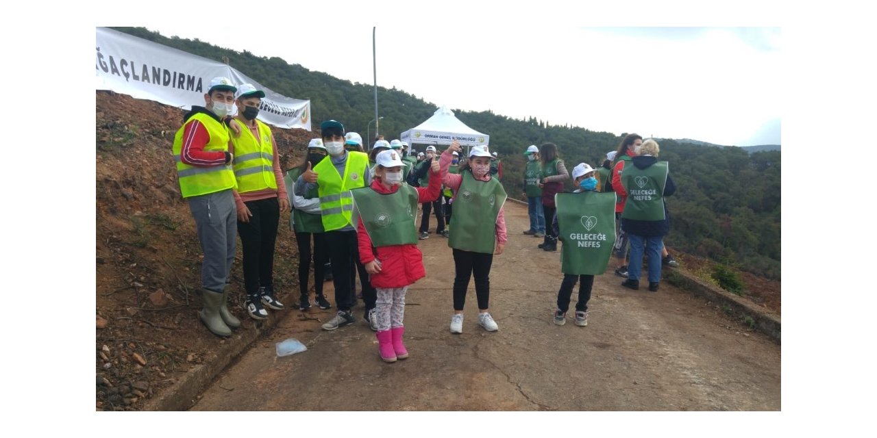 Heybeliada’da yanan ormanlık alana yüzlerce fidan dikildi