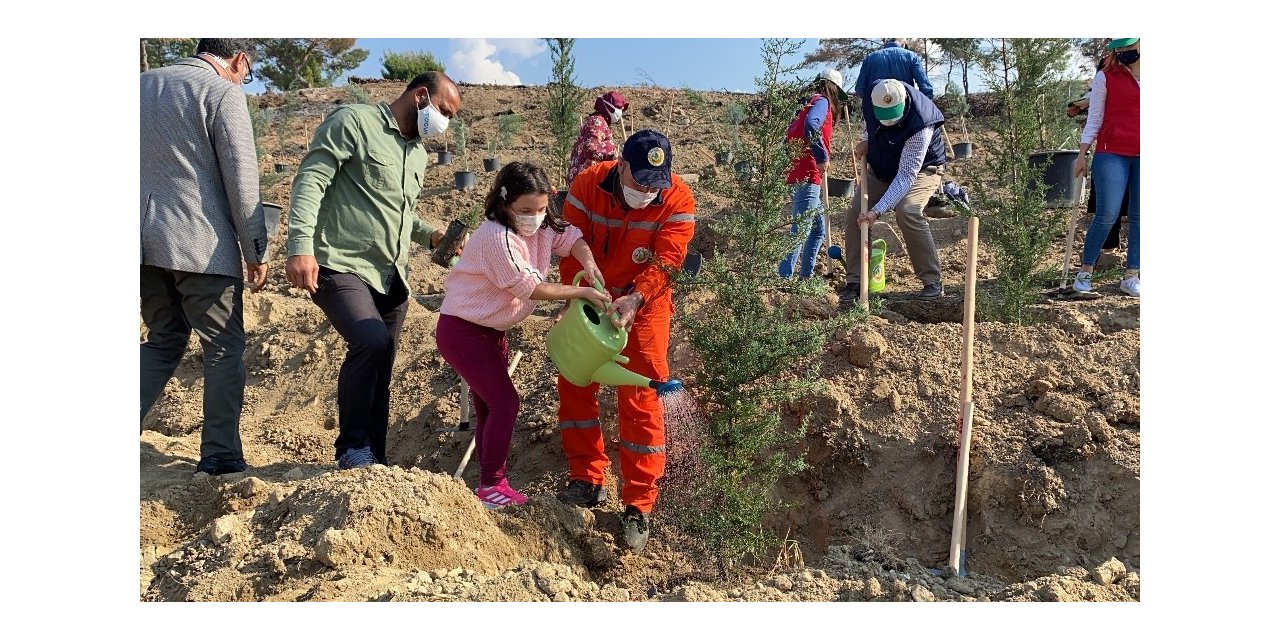 Hatay’da yanan ormanlık alanlar fidanlarla buluştu