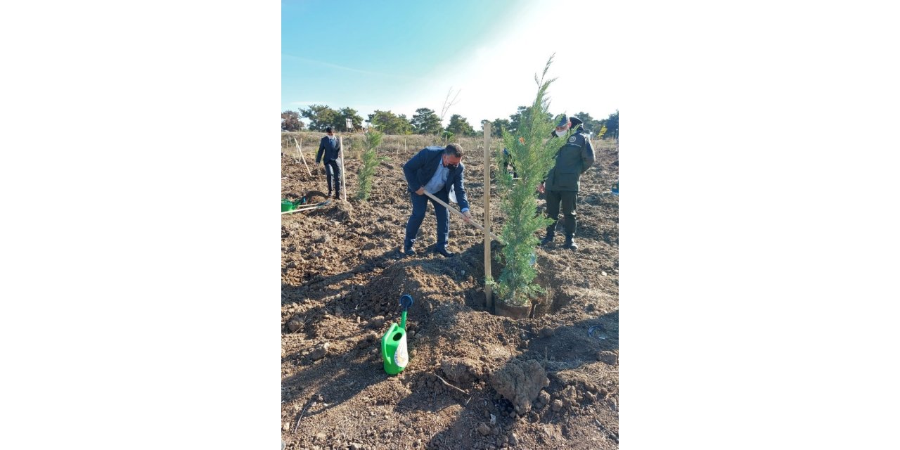 Ayvacık’ta yüzlerce fidan toprakla buluştu