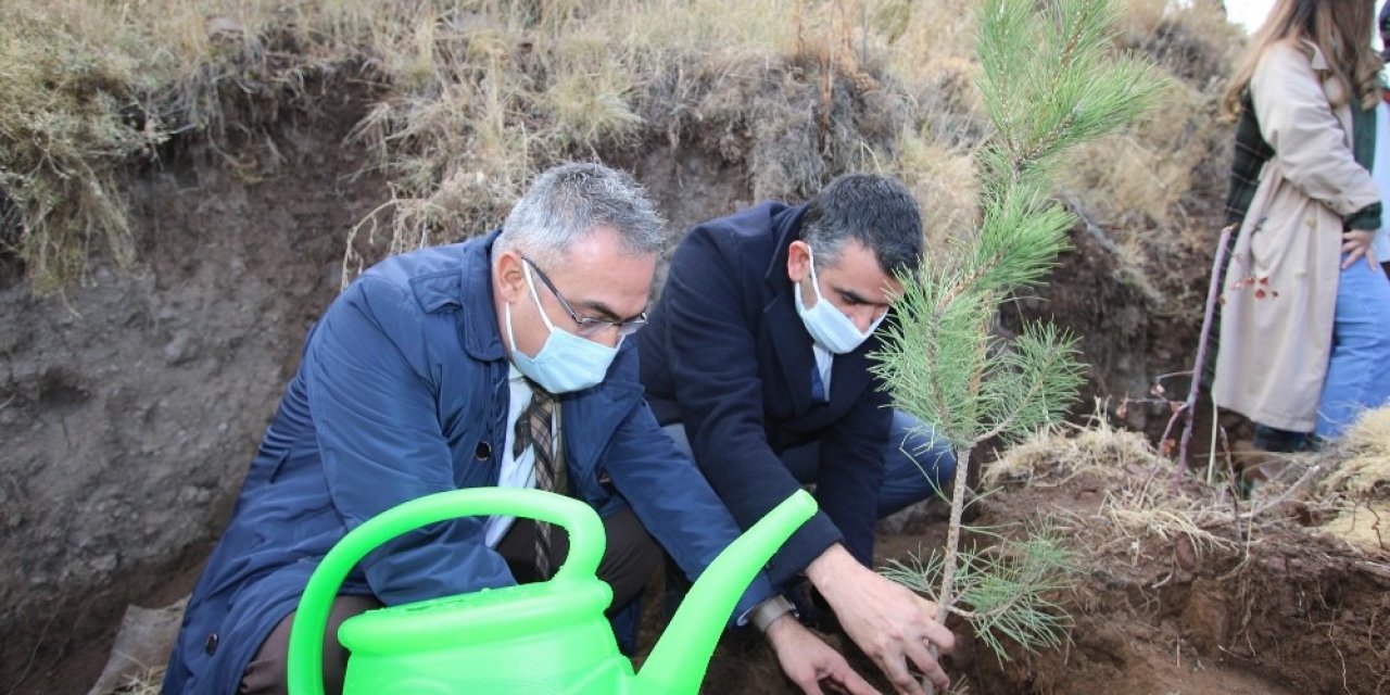 Hacılar’da bin 100 fidan toprakla buluştu