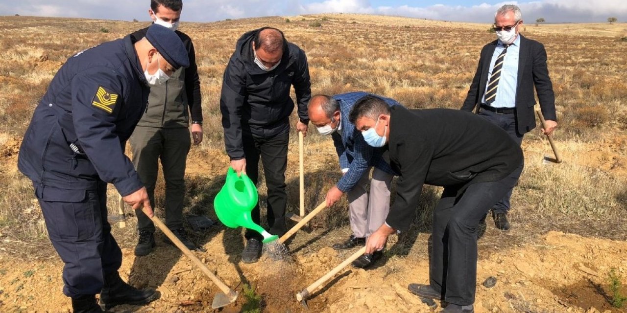 Hüyük’te “geleceğe nefes” olmak için fidanlar toprakla buluşturuldu