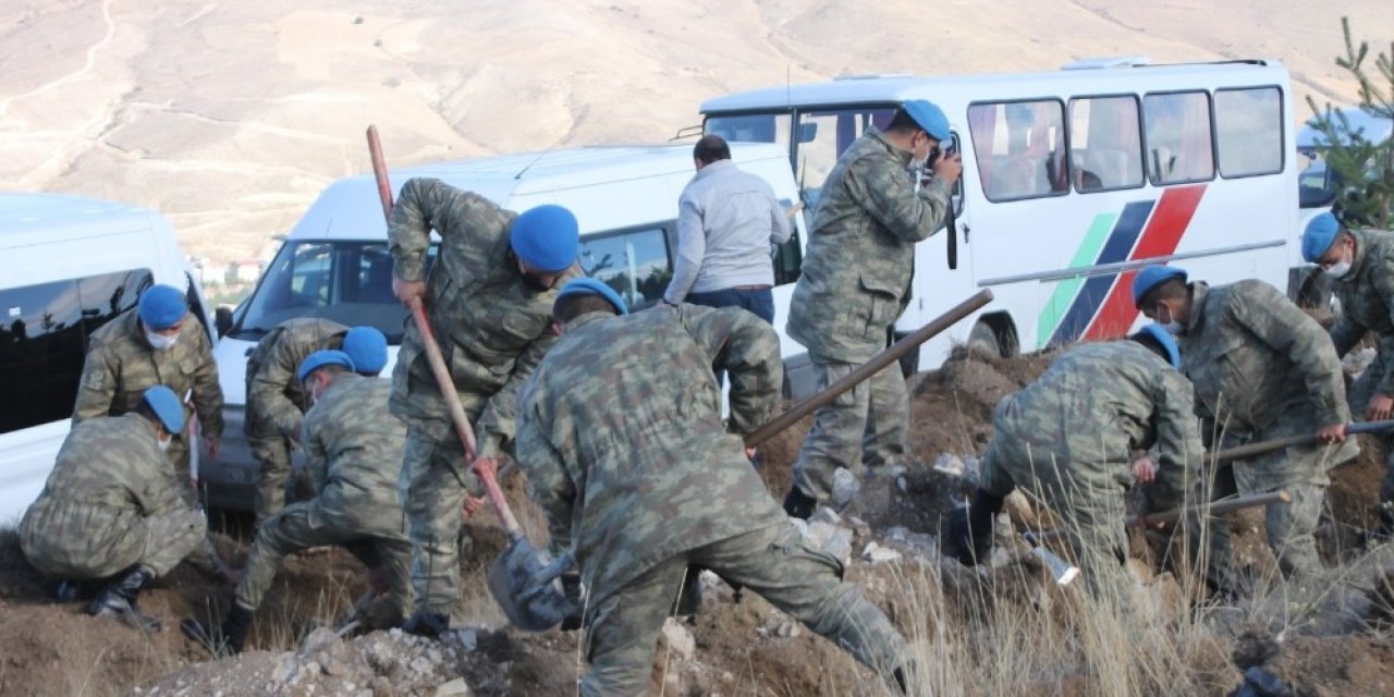 Bayburt’ta binlerce fidan toprakla buluştu