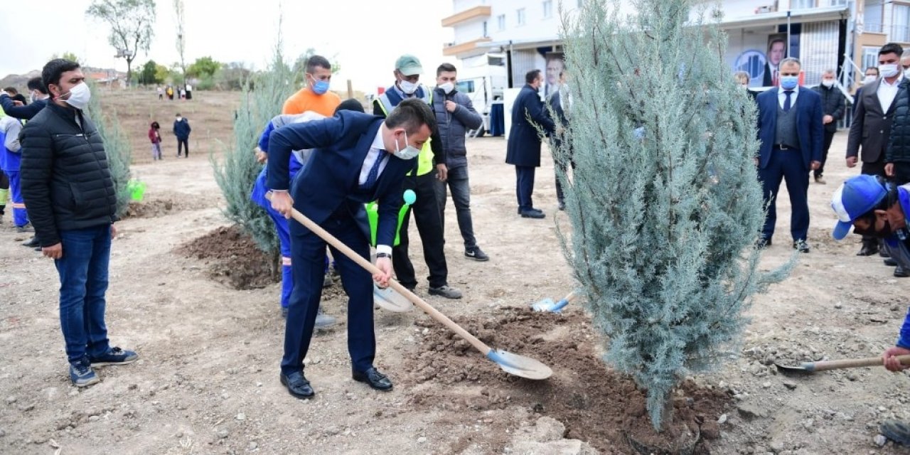 Altındağ’a bir orman daha