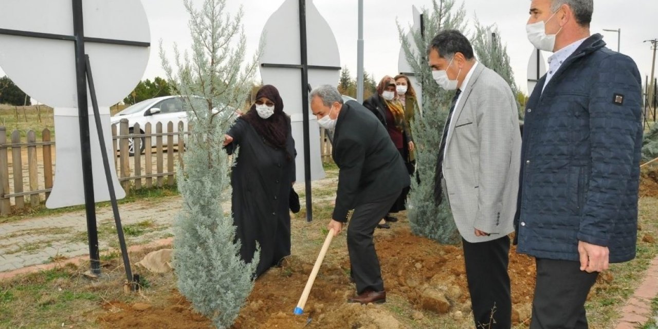 (Güncelleme) Akşehir’de 54 şehit için 54 fidan toprakla buluşturuldu